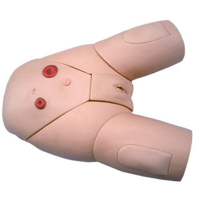 女性導尿示教模型