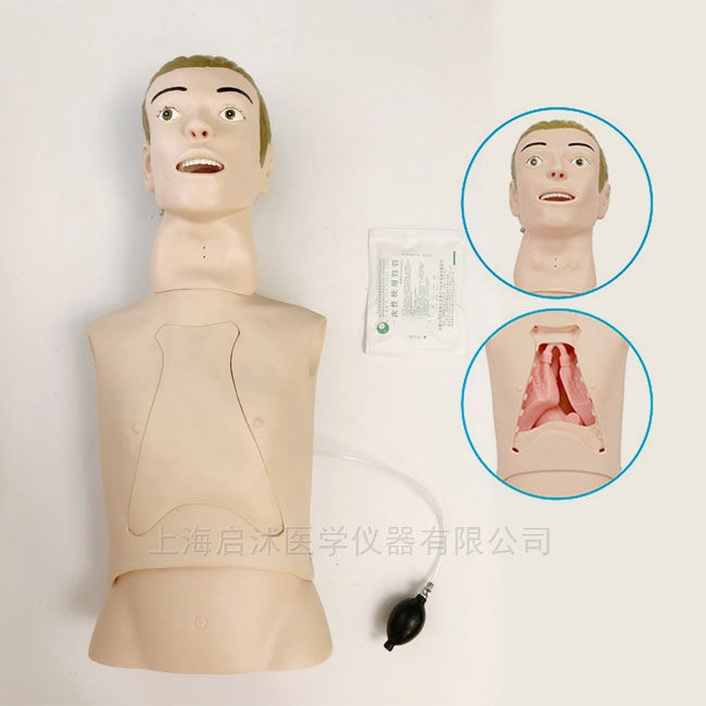 鼻胃管及口腔護理模擬人